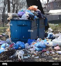 Best Hoarding Cleanup  in Whitesburg, KY