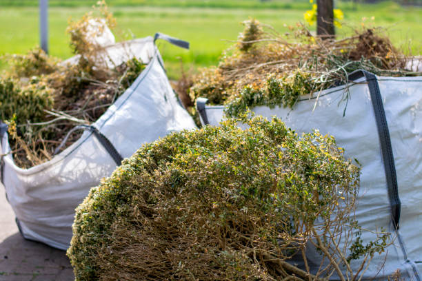 Best Yard Waste Removal  in Whitesburg, KY